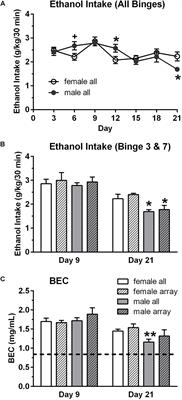 Binge Ethanol Drinking Produces Sexually Divergent and Distinct Changes in Nucleus Accumbens Signaling Cascades and Pathways in Adult C57BL/6J Mice